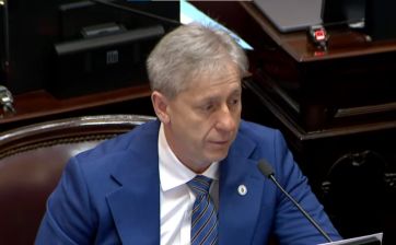 El Senado trata la reforma en salud mental y el “RIGI paralelo”