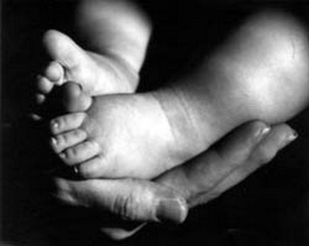 Diputados, para adelante con las adopciones