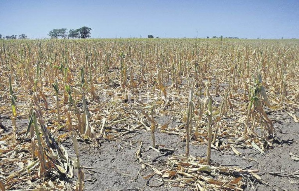 Agro: reclaman el Comité de Crisis