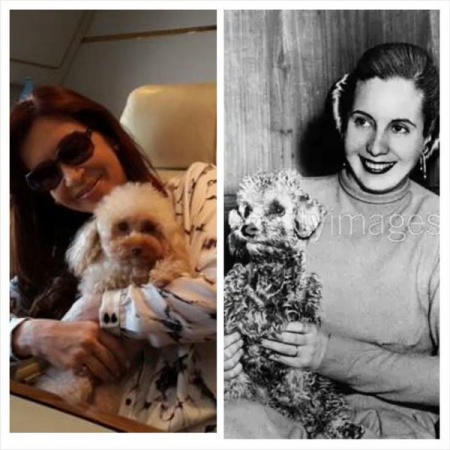 CFK: feliz 2015 sin pucho y con sidra