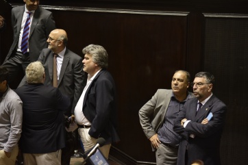 Con la presencia de varios intendentes, los Diputados bajan al recinto
