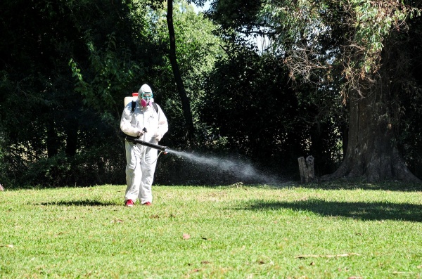 Desde La Matanza, apuntan a Macri por el brote de dengue