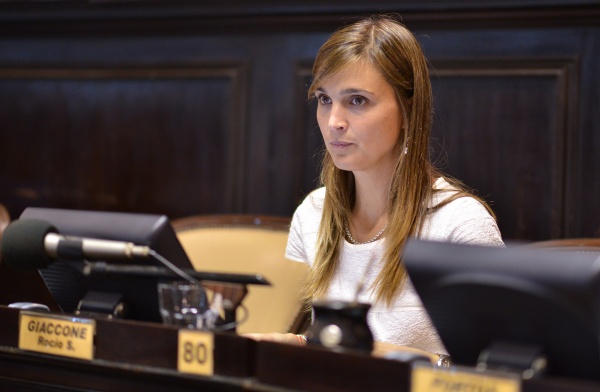 Un poroto estratégico para el camporismo en Diputados