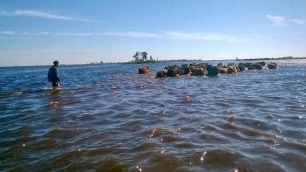 Operativo de asistencia para las zonas inundadas y emergencia agropecuaria