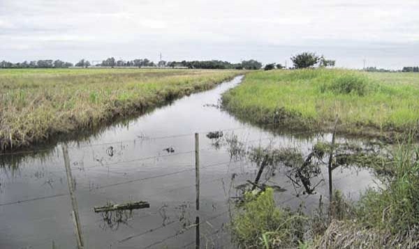 Cuarta sección: elevaron denuncia a productores por canales clandestinos