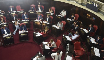El Senado avanzó en el cambio de la Ley de Ministerios y la utilización del cannabis medicinal