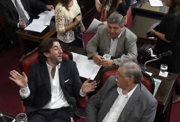 El Senado avanzó en el cambio de la Ley de Ministerios y la utilización del cannabis medicinal