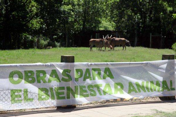 El Municipio invertirá más de 12 millones de pesos para transformar el Zoo en un Bioparque