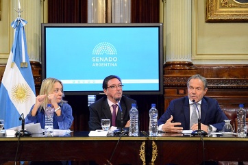En el Senado de la Nación, Ferrari defendió la restricción de la libertad condicional