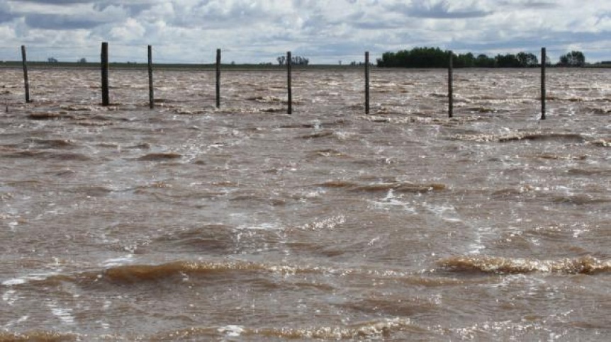 Aumenta la preocupación en el campo por la ausencia de medidas de Provincia