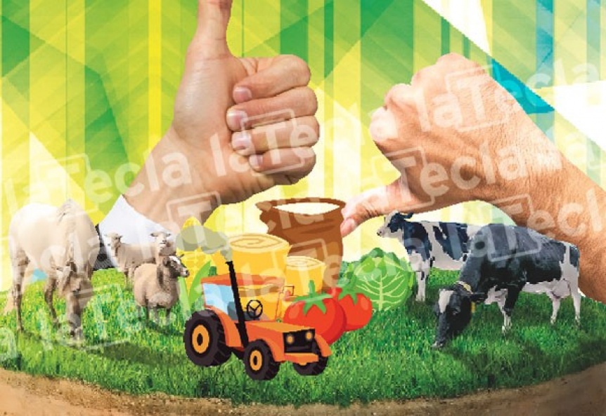 La interna rural por los cambios fiscales
