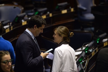 La discusión en Diputados por la reducción de tarifas copó el ida y vuelta legislativo