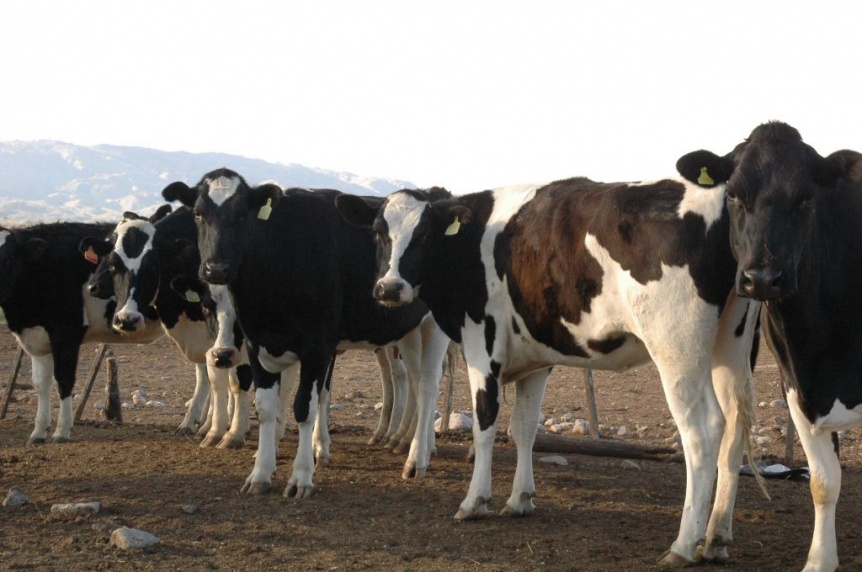 En medio de la crisis, el campo vuelve a la calle