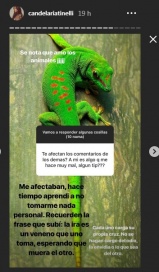 Cande Tinelli sin filtro en Insta Stories