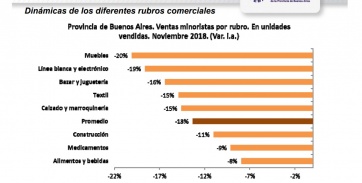 La actividad comercial retrocedió un 13,3% en noviembre respecto del mismo período de 2017