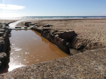 Puerto Mar del Plata: desidia y contaminación