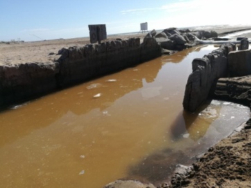 Puerto Mar del Plata: desidia y contaminación