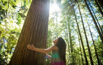 La cura para dolor de cabeza: Abrazar un árbol